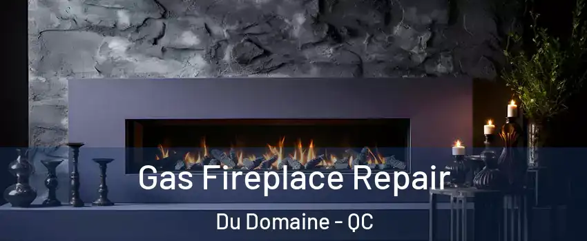  Gas Fireplace Repair Du Domaine - QC