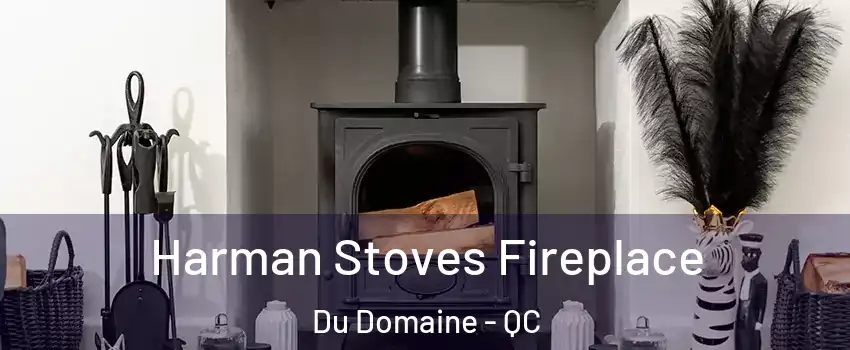 Harman Stoves Fireplace Du Domaine - QC