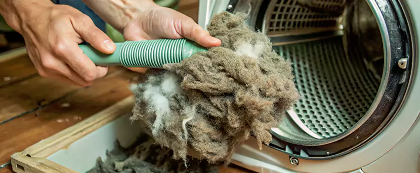 Best Dryer Lint Removal Company in Mascouche Heights, Quebec