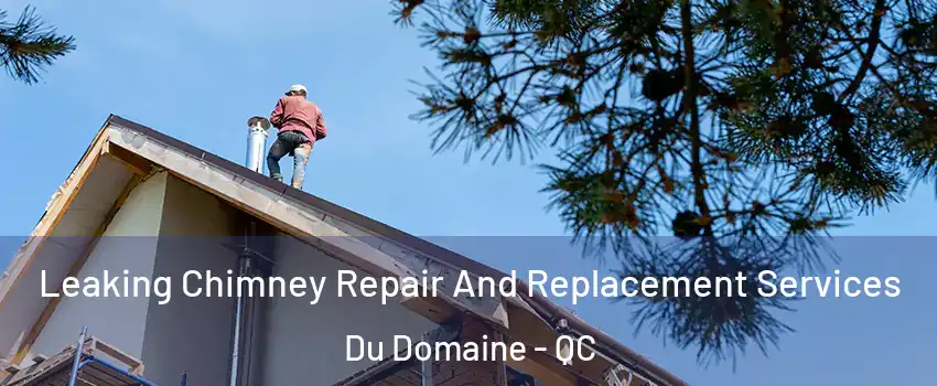 Leaking Chimney Repair And Replacement Services Du Domaine - QC