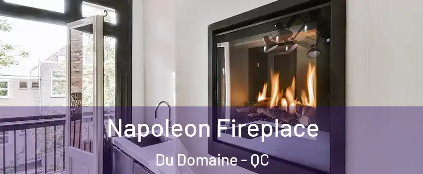 Napoleon Fireplace Du Domaine - QC