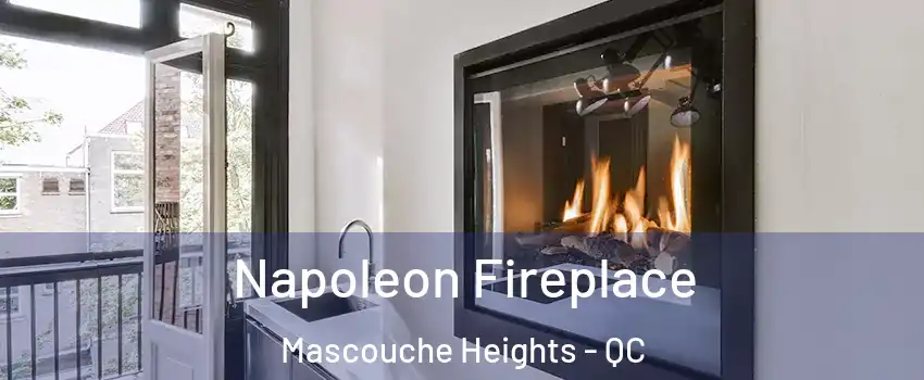 Napoleon Fireplace Mascouche Heights - QC