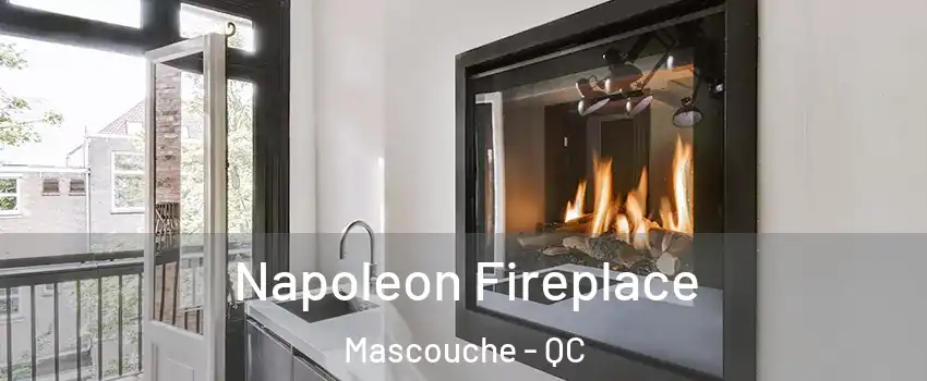  Napoleon Fireplace Mascouche - QC