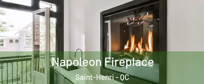 Napoleon Fireplace Saint-Henri - QC