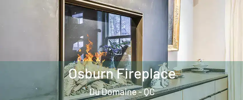 Osburn Fireplace Du Domaine - QC
