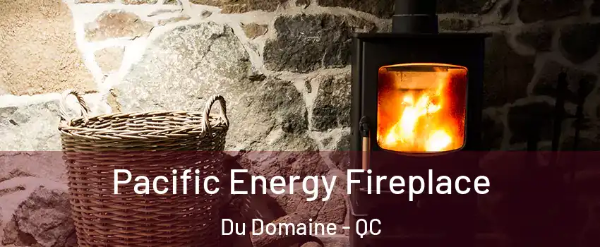 Pacific Energy Fireplace Du Domaine - QC