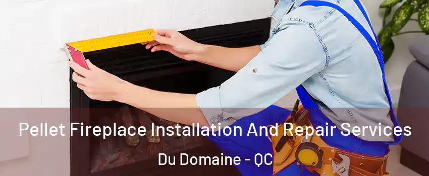 Pellet Fireplace Installation And Repair Services Du Domaine - QC