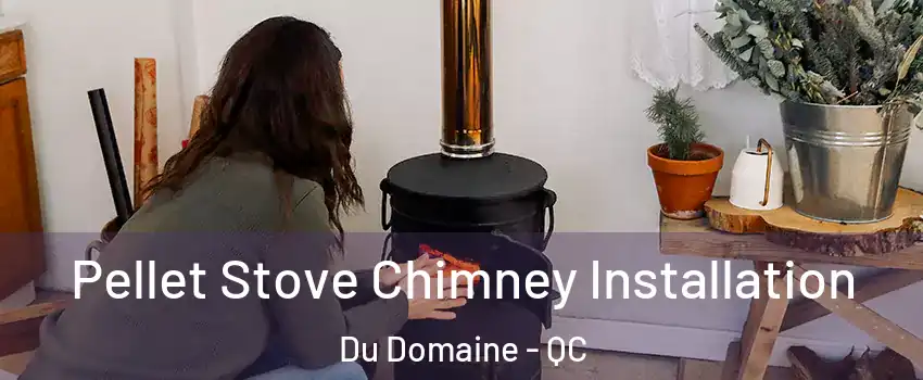 Pellet Stove Chimney Installation Du Domaine - QC