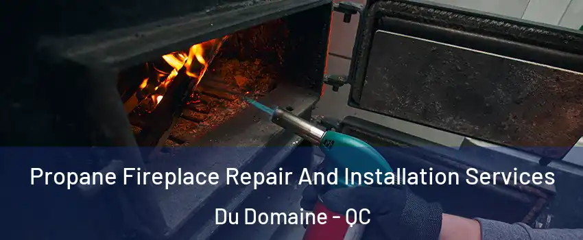 Propane Fireplace Repair And Installation Services Du Domaine - QC