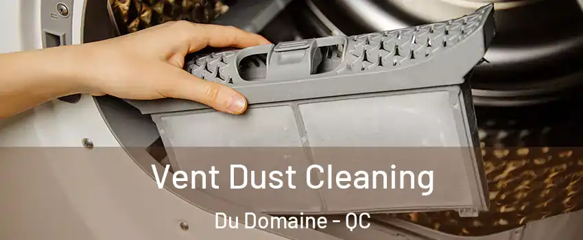 Vent Dust Cleaning Du Domaine - QC