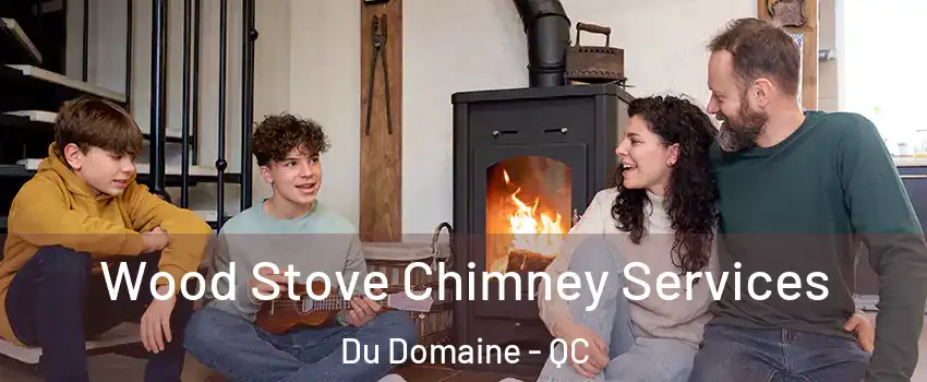  Wood Stove Chimney Services Du Domaine - QC