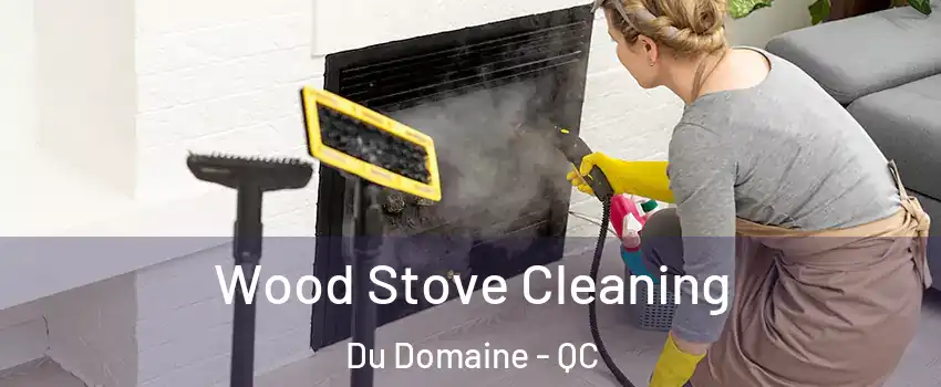  Wood Stove Cleaning Du Domaine - QC