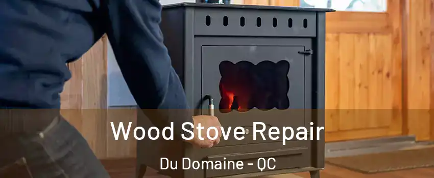  Wood Stove Repair Du Domaine - QC